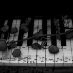 Profile picture of Neofreud