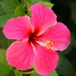 Profile picture of Mbiza